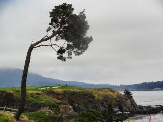Blick auf Loch 6 von Pebble Beach