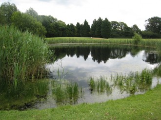 Wexham Park